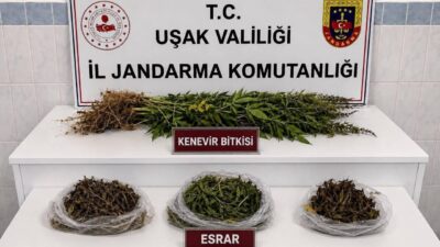 Uşak’ın Sivaslı ve Banaz ilçelerinde jandarma ekipleri tarafından düzenlenen operasyonlarda