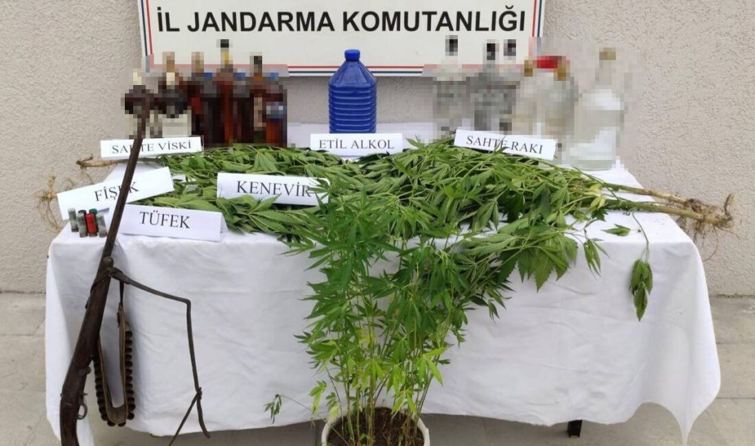 DÜZCE (İHA) – Düzce’de narkotik suçlarla mücadele eden ekiplerin gerçekleştirdiği