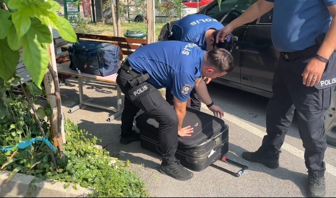 Bursa Valiliği Ek Hizmet Binası’nın karşısındaki açık otoparkta bulunan iki