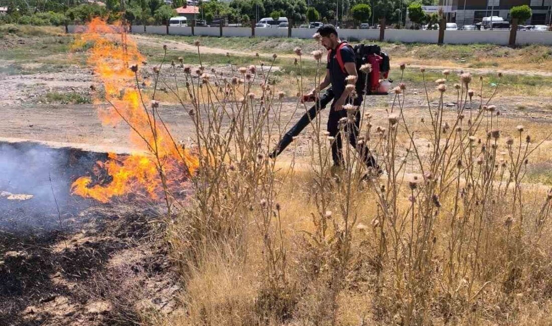 Van’ın Gevaş ilçesinde meydana gelen anız yangını, itfaiye ekiplerinin müdahalesiyle