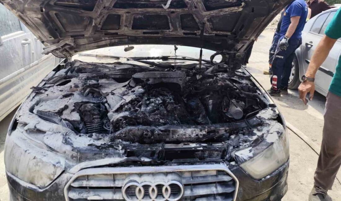 Van’ın Tuşba ilçesinde, park halindeki bir otomobilin motor bölümünde çıkan