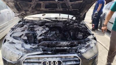 Van’ın Tuşba ilçesinde, park halindeki bir otomobilin motor bölümünde çıkan