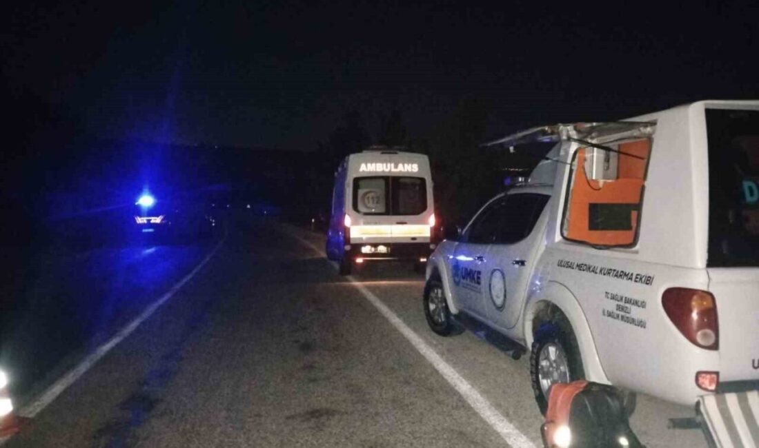 Denizli’nin Çal ilçesinde meydana gelen trafik kazasında, yabani bir hayvana
