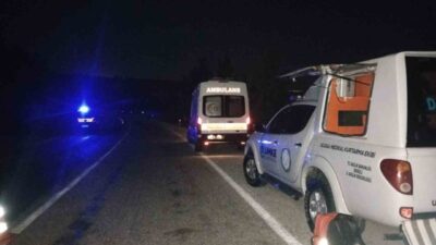 Denizli’nin Çal ilçesinde meydana gelen trafik kazasında, yabani bir hayvana