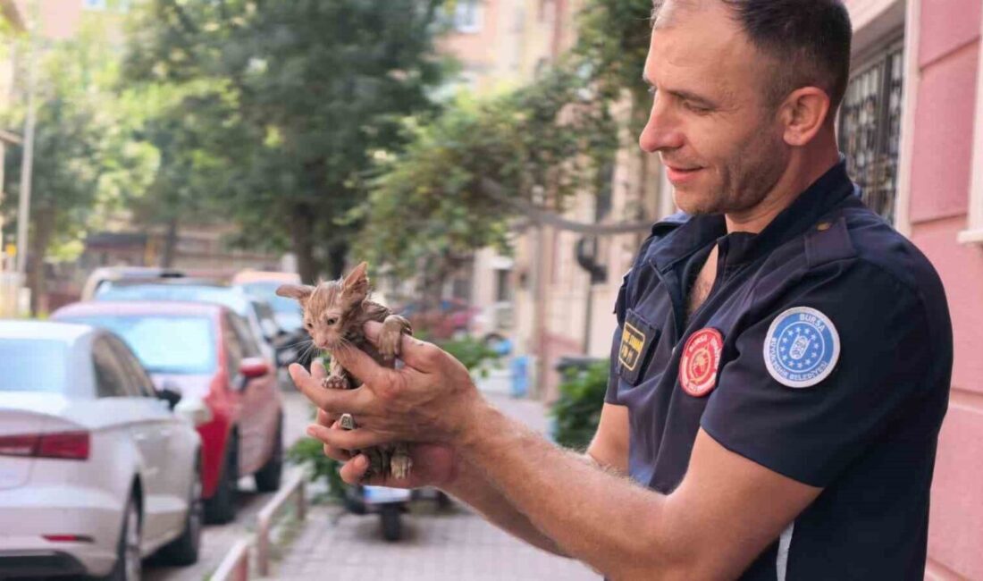 Bursa’nın İnegöl ilçesinde, bir apartmanın yağmur suyu gider borusuna sıkışan