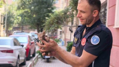 Bursa’nın İnegöl ilçesinde, bir apartmanın yağmur suyu gider borusuna sıkışan