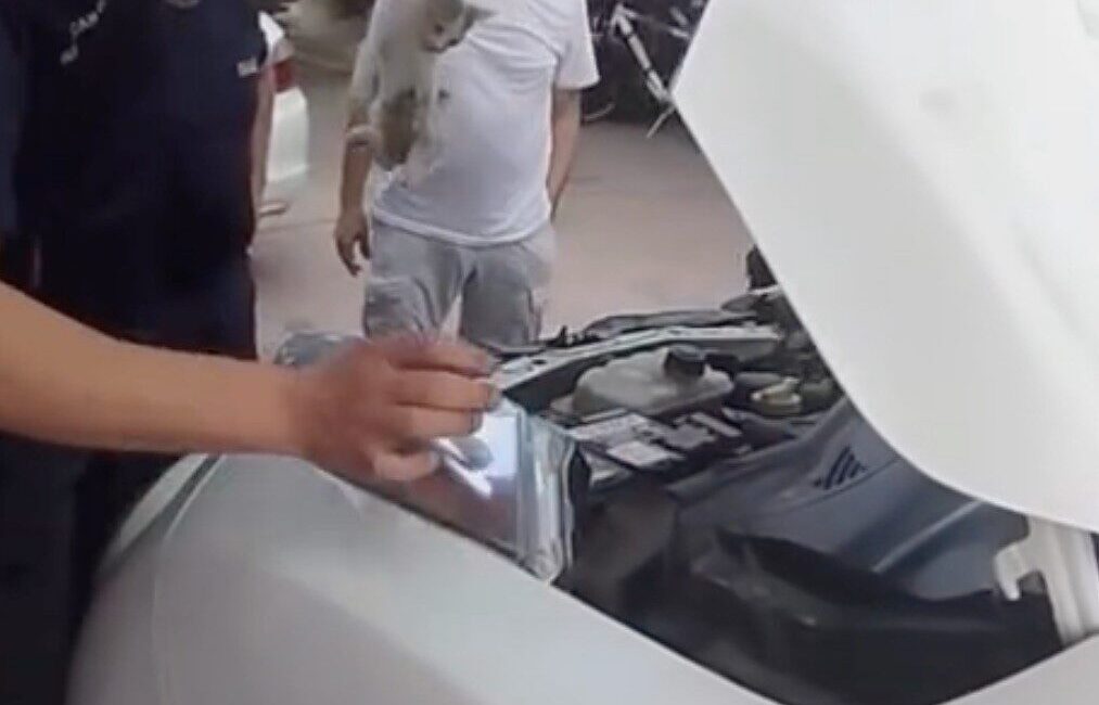 Yalova’da bir aracın alt kısmına sığınarak mahsur kalan minik kedinin