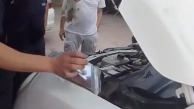Yalova’da bir aracın alt kısmına sığınarak mahsur kalan minik kedinin