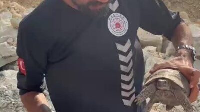Kaş ilçesindeki orman yangınına müdahale eden ekipler, sadece insanları değil