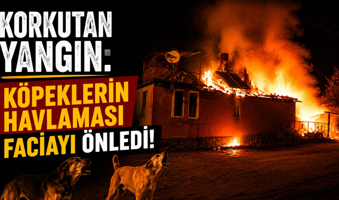 Akçakent ilçesine bağlı Taşoluk Köyü’nde, Akçakent Orman Dairesi’nden emekli şoför