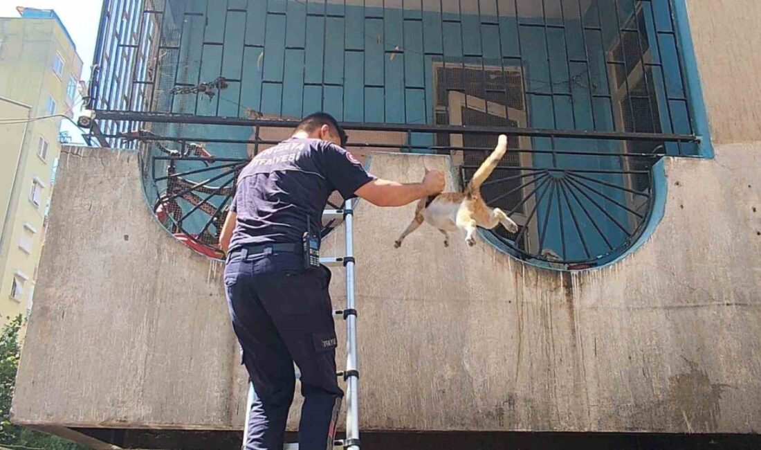 Muratpaşa ilçesindeki bir apartmanda, dördüncü katta bulunan boş bir dairede