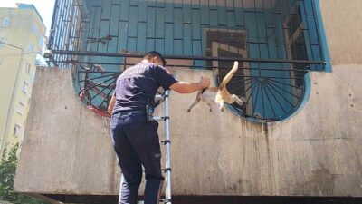 Muratpaşa ilçesindeki bir apartmanda, dördüncü katta bulunan boş bir dairede