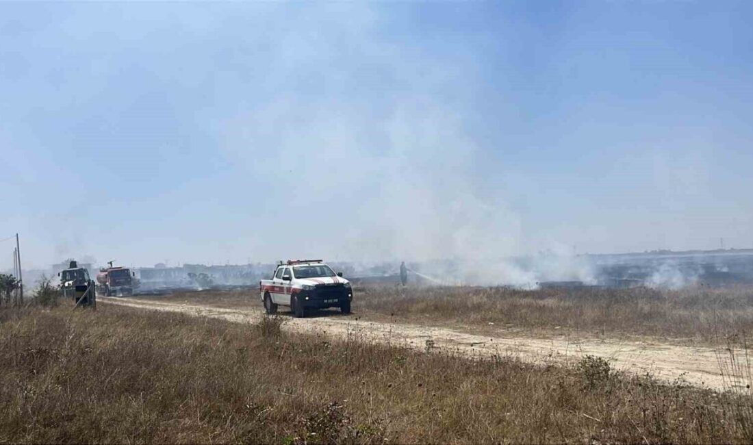 Tekirdağ’ın Kapaklı ile Saray ilçeleri arasında bulunan boş arazide çıkan