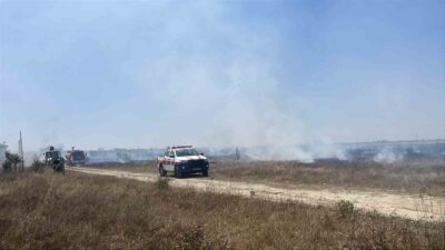Tekirdağ’ın Kapaklı ile Saray ilçeleri arasında bulunan boş arazide çıkan