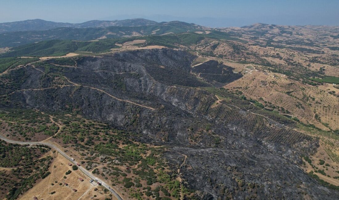 Manisa’nın Kula ilçesinde tarım arazisinde başlayan ve ormanlık alana sıçrayan