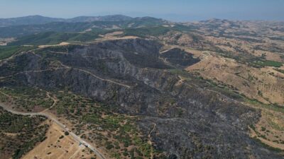 Manisa’nın Kula ilçesinde tarım arazisinde başlayan ve ormanlık alana sıçrayan
