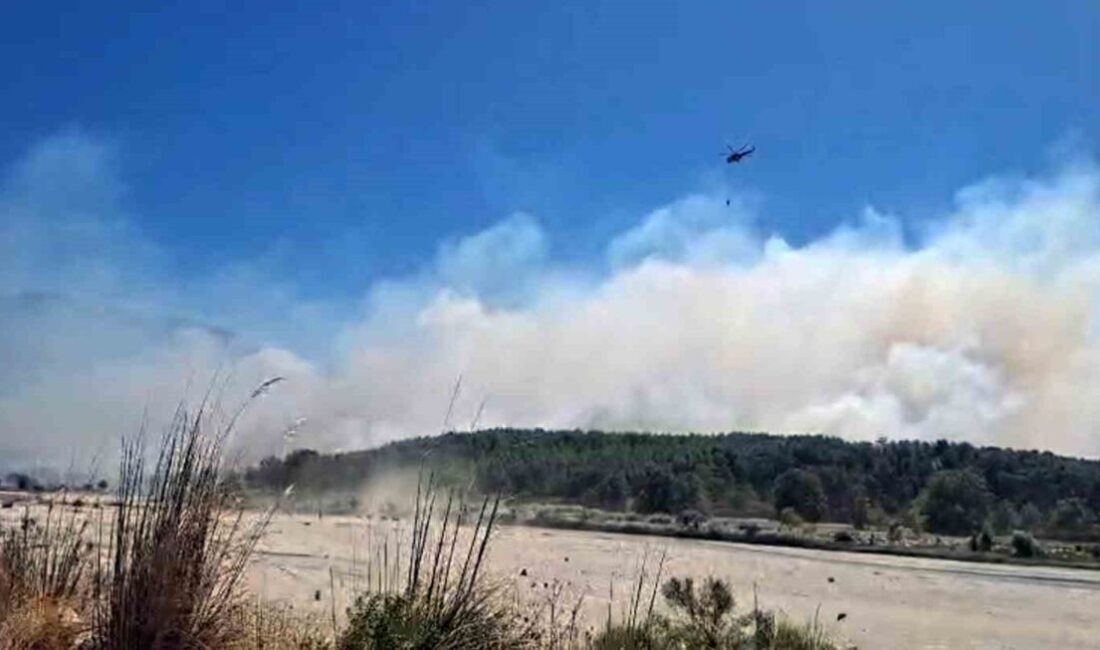 Muğla’nın Seydikemer ilçesine bağlı Korubükü Mahallesi’nde çıkan yangın, şiddetli rüzgarın