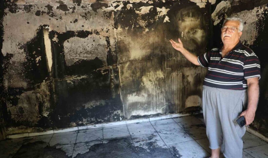Hatay’ın Antakya ilçesinde Ali ve Hatice Aydın çiftine ait 40