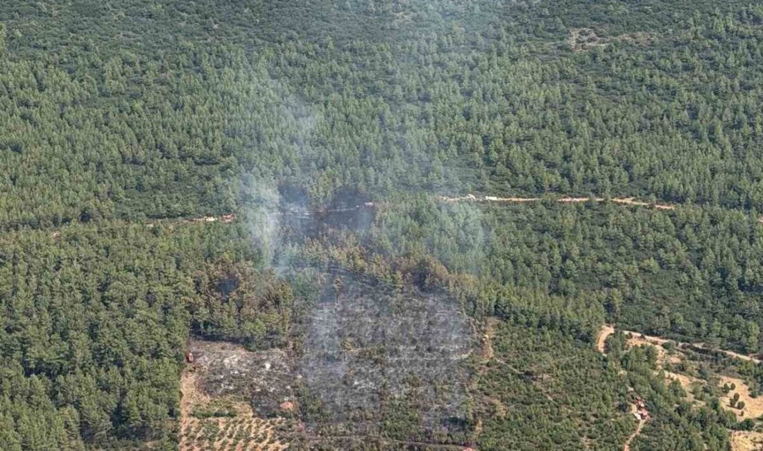 Muğla’nın Yatağan ilçesinde tarımsal alanda başlayan ve ormanlık alana yayılan