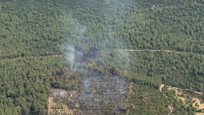 Muğla’nın Yatağan ilçesinde tarımsal alanda başlayan ve ormanlık alana yayılan