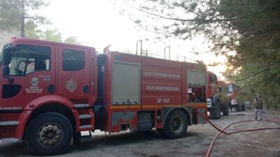 Yayladağı ilçesindeki ormanlık alanda çıkan yangın, Orman Genel Müdürlüğü (OGM)