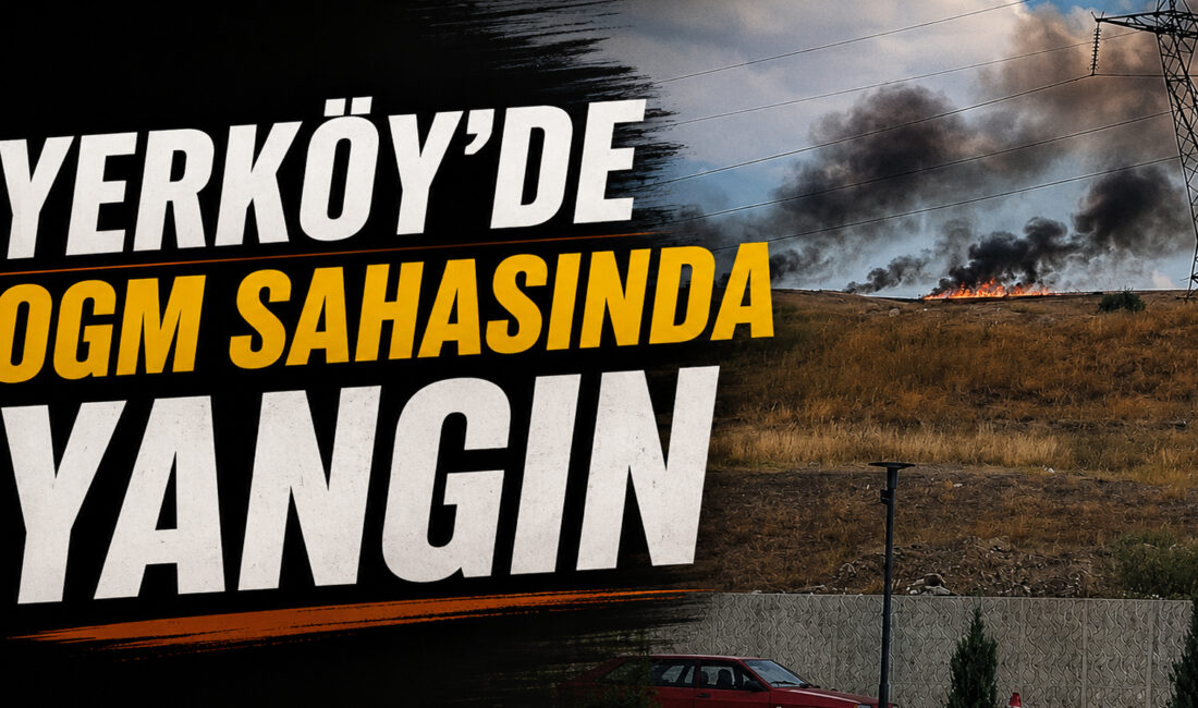 Yozgat’ın Yerköy ilçesinde Orman Genel Müdürlüğü (OGM) sorumluluk sahasındaki ormanlık