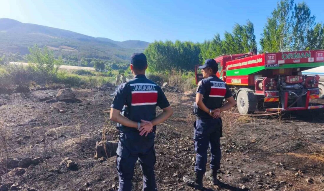Bilecik’te Bayırköy beldesinde meydana gelen çalılık yangını, Yüksek Hızlı Tren