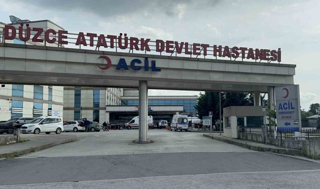 Yığılca, Düzce ilçesinde meydana gelen trafik kazasında, ismi patpat olarak