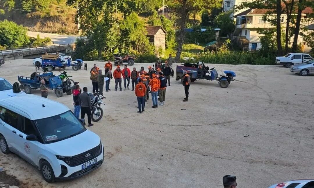 Düzce’nin Yığılca ilçesinde, fındık bahçelerine büyük zarar veren yaban domuzu