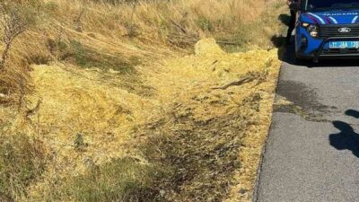 Bilecik’te bir sigara izmariti yol kenarına atıldıktan sonra çıkan yangın,