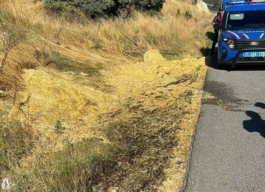 Bilecik’te bir sigara izmariti yol kenarına atıldıktan sonra çıkan yangın,
