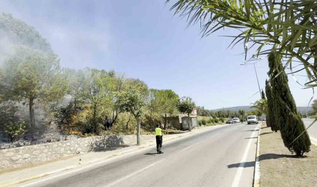 Balıkesir’in Erdek ilçesinde yol kenarındaki otluk alanda çıkan yangın, ekiplerin