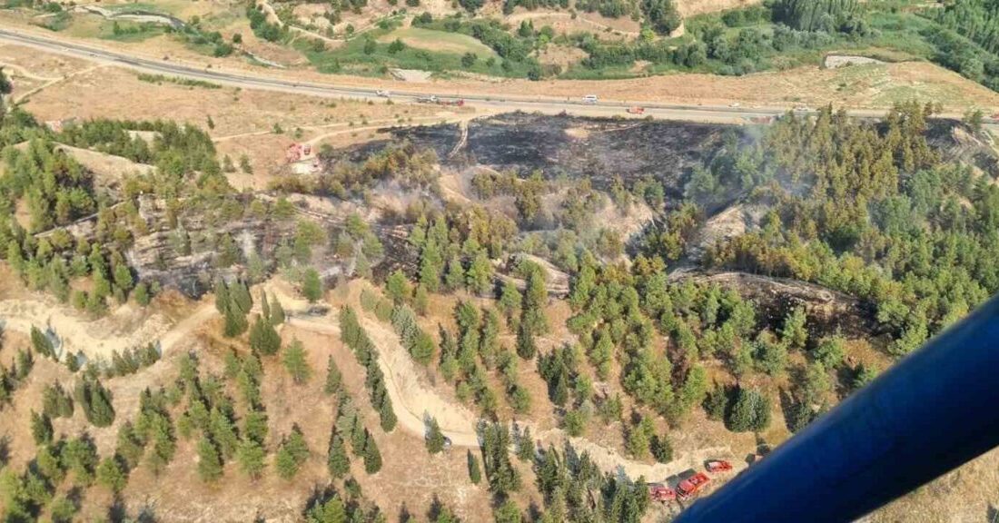 Denizli’nin Pamukkale ilçesinde, TOKİ konutlarının yakınındaki ormanlık alanda çıkan yangın,