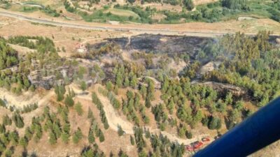 Denizli’nin Pamukkale ilçesinde, TOKİ konutlarının yakınındaki ormanlık alanda çıkan yangın,