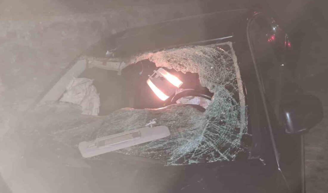 Çaycuma ilçesinde yaşanan trafik kazasında, bir ineğe çarpan aracın takla