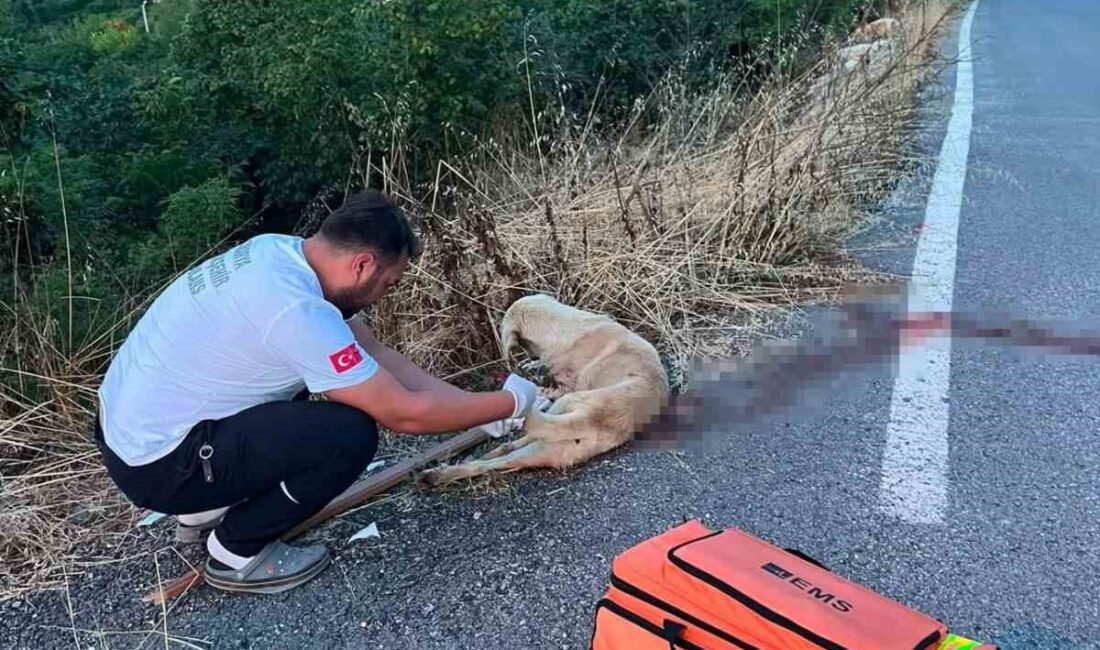 Sakarya’nın Serdivan ilçesinde bir ambulans ekibi, görev dönüşünde kanlar içinde