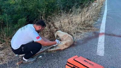 Sakarya’nın Serdivan ilçesinde bir ambulans ekibi, görev dönüşünde kanlar içinde