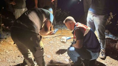 Antalya’nın Gazipaşa ilçesinde, hayvanlarını otlatan bir çobanın ormanlık alanda bulduğu