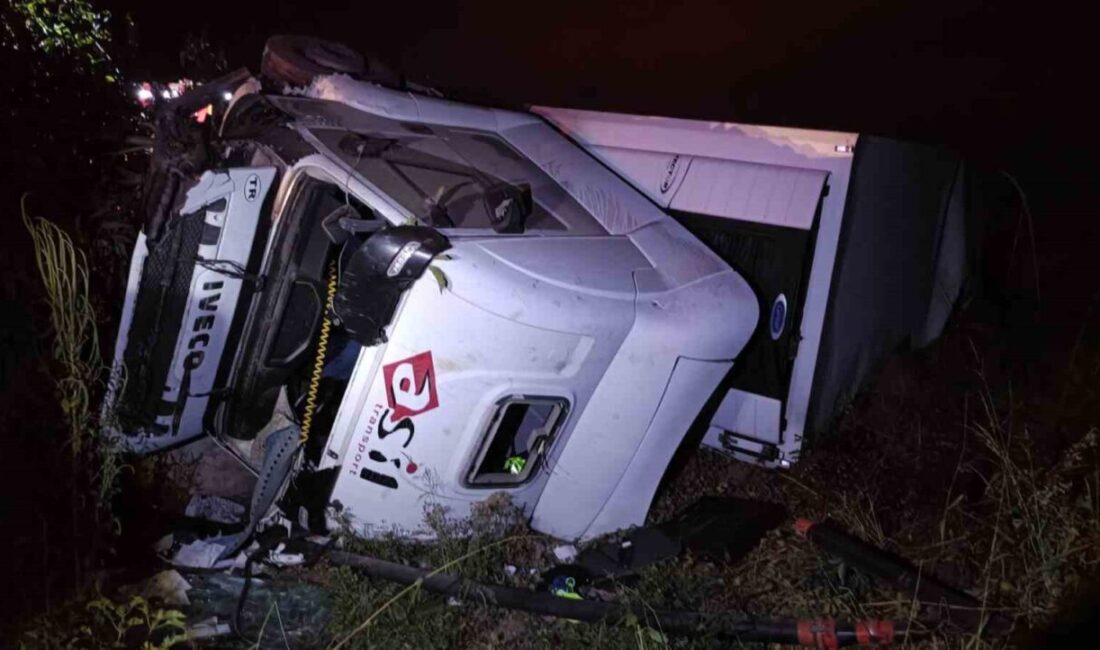 Bursa’nın Yenişehir ilçesinde bir alkollü tır sürücüsünün, motosiklete çarpması sonucu