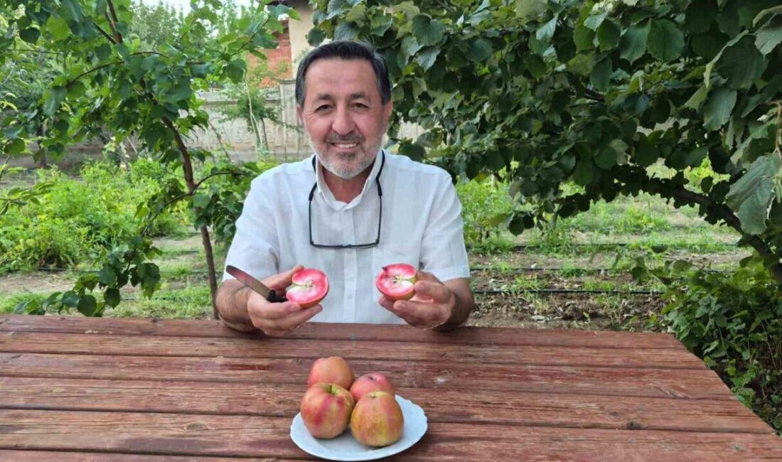 Posof ilçesine özgü ve tarihi 200 yıla kadar uzanan ‘içi