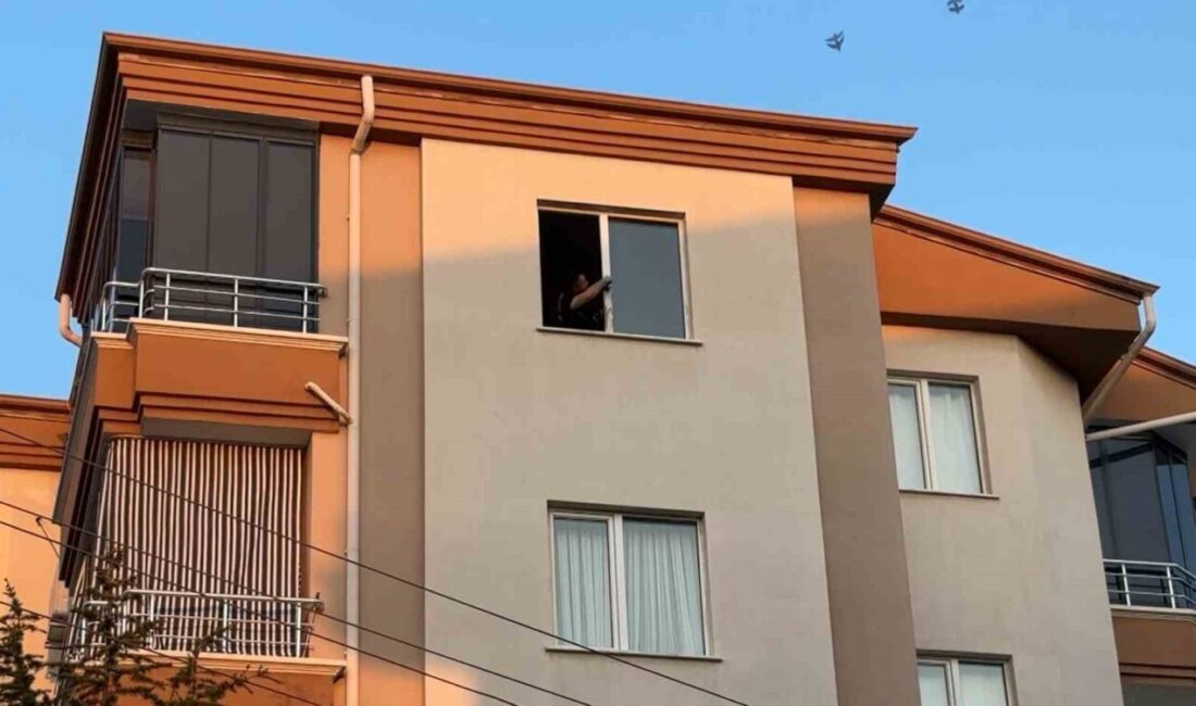 Aksaray ilinde, 18 yaşındaki genç bir kız, Paşacık Mahallesi’nde bulunan