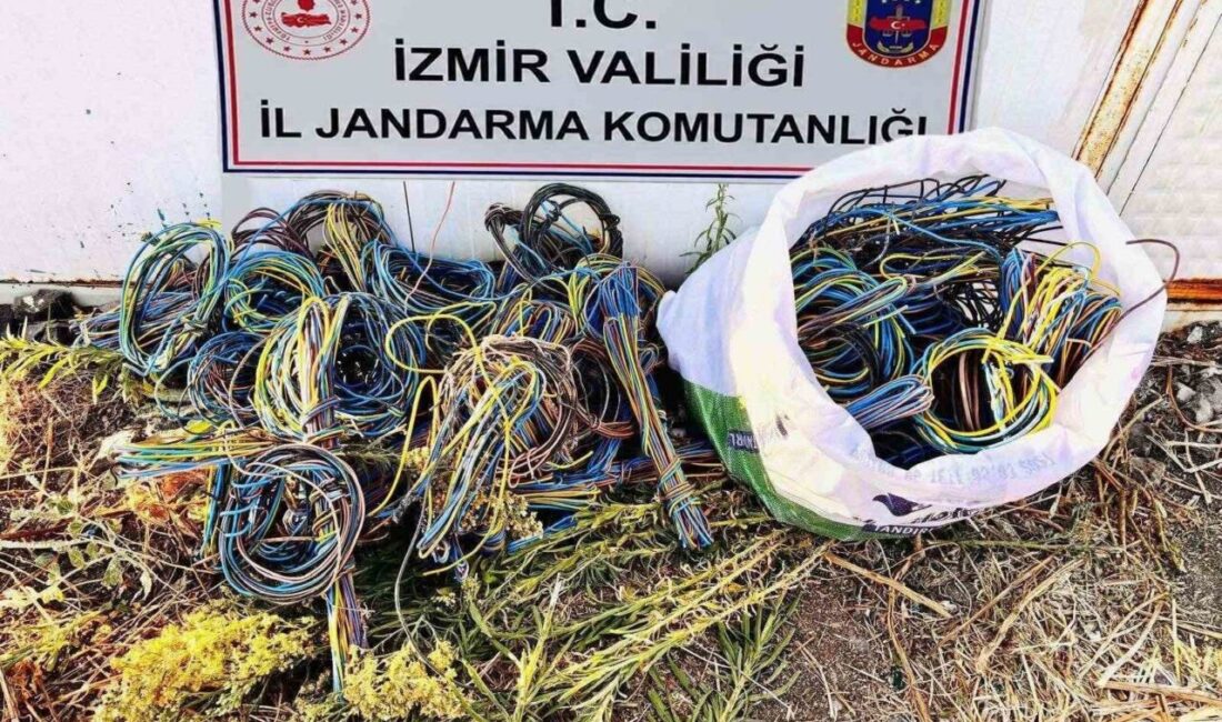İzmir’de kablo hırsızlığı yaparken jandarma ekipleri tarafından yakalanan 3 şüphelinin,