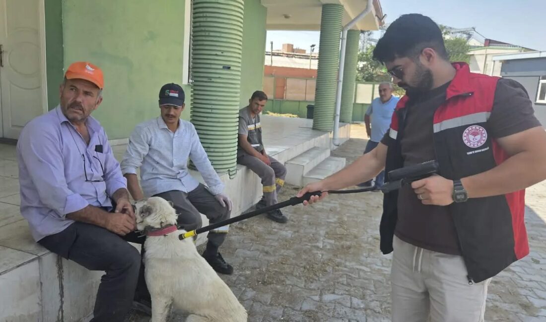 Yerköy İlçe Tarım ve Orman Müdürlüğü ile belediye ekipleri, ilçe