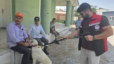 Yerköy İlçe Tarım ve Orman Müdürlüğü ile belediye ekipleri, ilçe