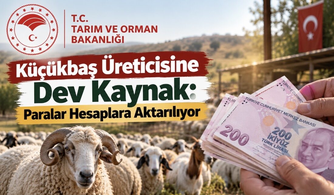 Tarım ve Orman Bakanlığı tarafından tarımsal ve hayvansal üretimi desteklemek