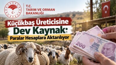 Tarım ve Orman Bakanlığı tarafından tarımsal ve hayvansal üretimi desteklemek