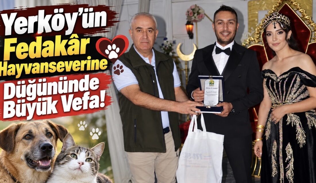 Yerköy’de yıllardır sokak hayvanlarının beslenmesinden şehir içi ve şehir dışındaki