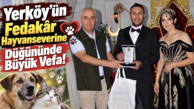 Yerköy’de yıllardır sokak hayvanlarının beslenmesinden şehir içi ve şehir dışındaki