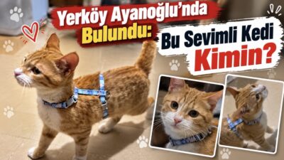 Yozgat’ın Yerköy ilçesi Ayanoğlu Mahallesi Bedri Aydın Caddesi üzerinde yer