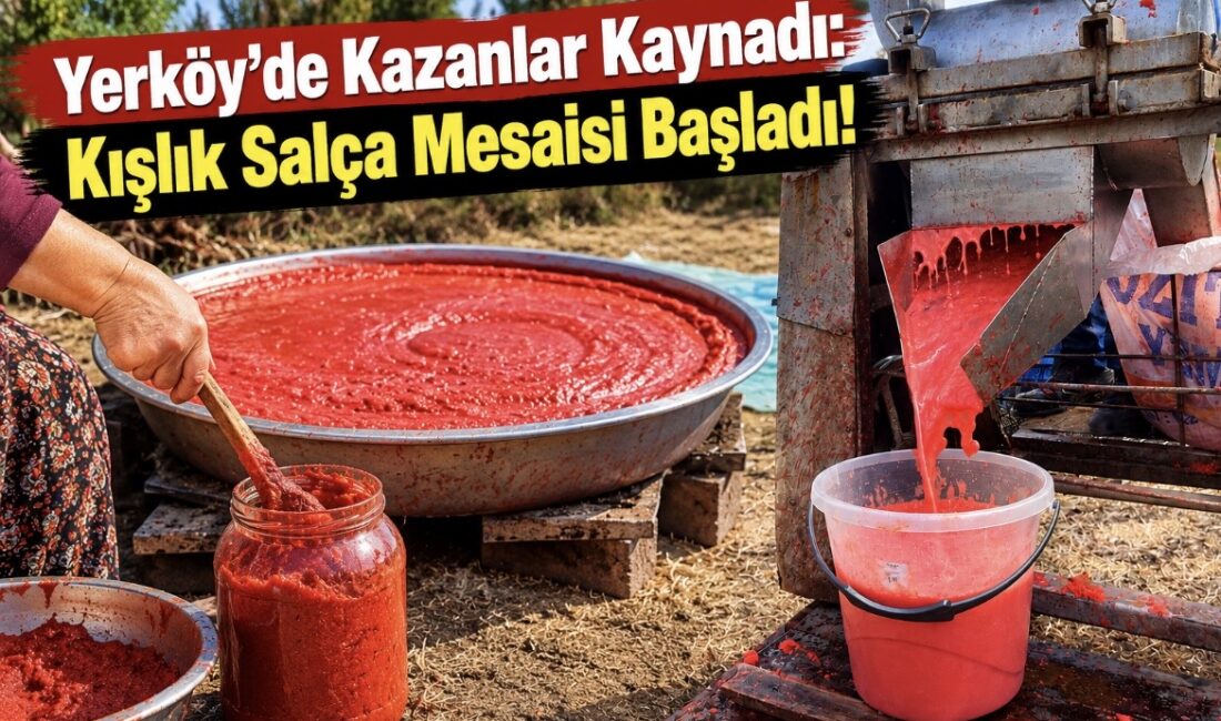 Sonbaharın gelmesiyle birlikte Yozgat’ın Yerköy ilçesinde kışlık hazırlık telaşı başladı.